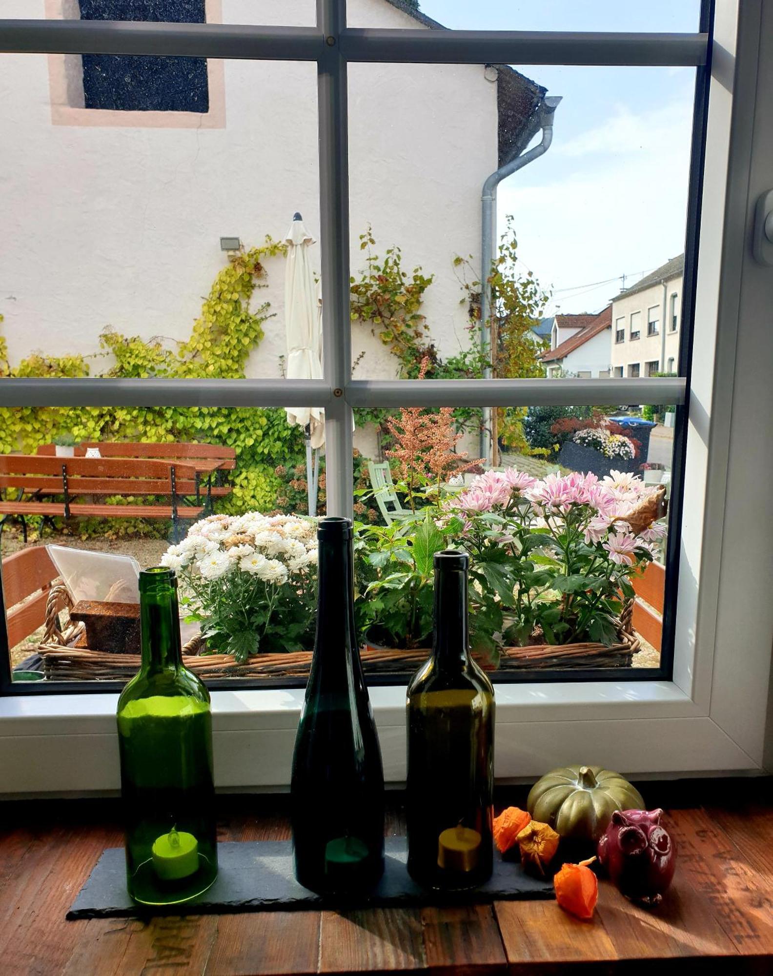 Zur Alten Rebe Ferienhaus Und Weingut คอนซ์ ภายนอก รูปภาพ
