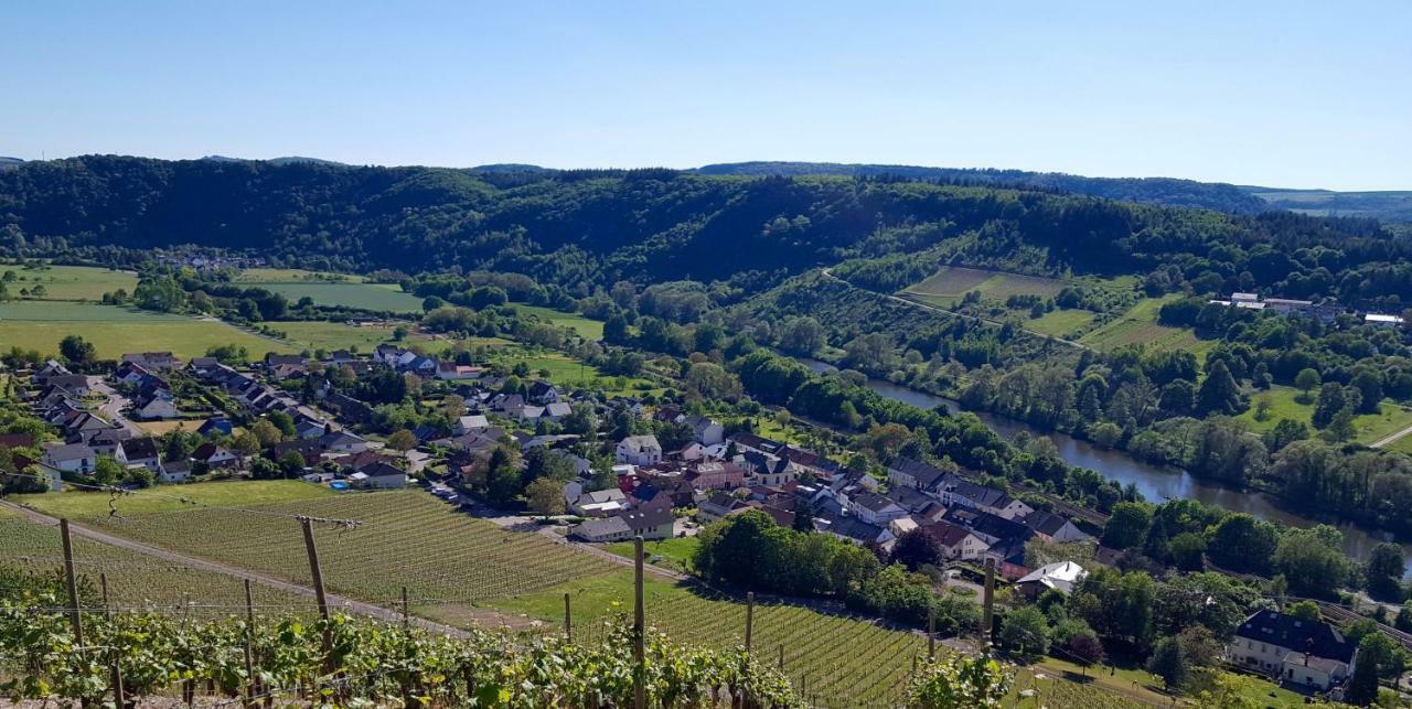 Zur Alten Rebe Ferienhaus Und Weingut คอนซ์ ภายนอก รูปภาพ