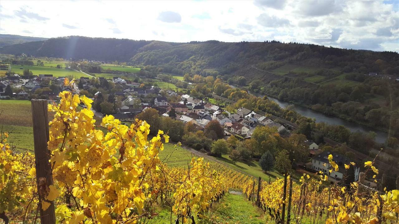 Zur Alten Rebe Ferienhaus Und Weingut คอนซ์ ภายนอก รูปภาพ