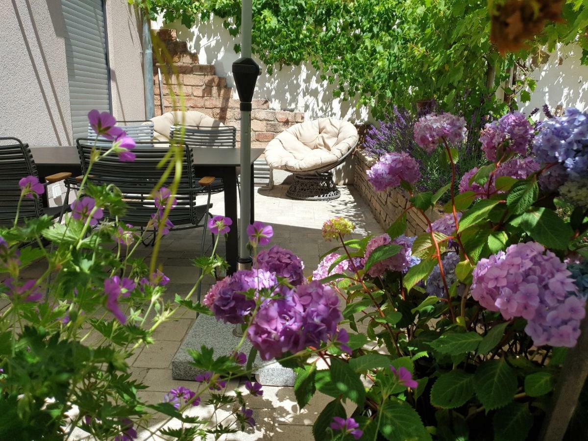 Zur Alten Rebe Ferienhaus Und Weingut คอนซ์ ภายนอก รูปภาพ