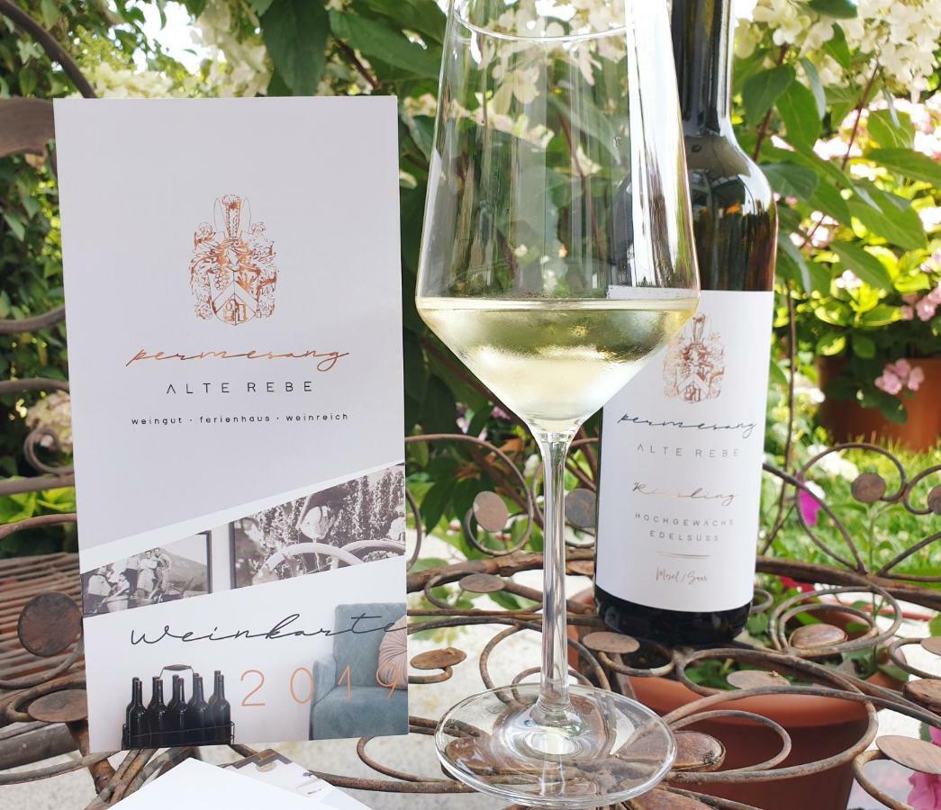 Zur Alten Rebe Ferienhaus Und Weingut คอนซ์ ภายนอก รูปภาพ