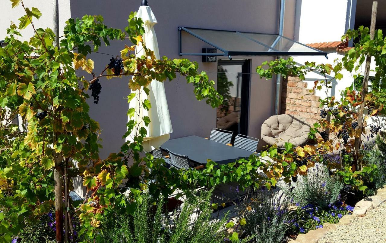 Zur Alten Rebe Ferienhaus Und Weingut คอนซ์ ภายนอก รูปภาพ