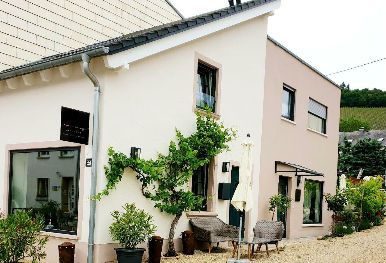 Zur Alten Rebe Ferienhaus Und Weingut คอนซ์ ภายนอก รูปภาพ